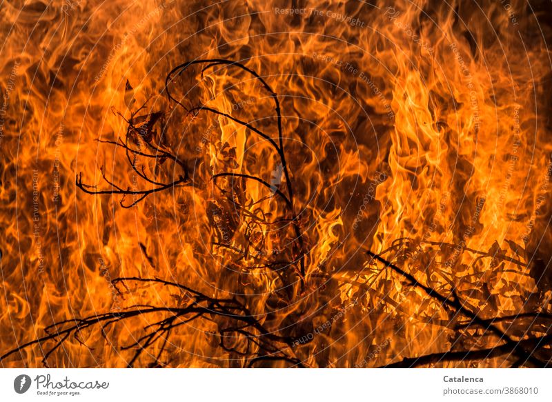 Flammenmeer, Flammen schlagen hoch und verbreiten sich Feuer brennen Funken Urelement Zweig heiß Scheiterhaufen Feuerstelle Brand gefährlich Hitze Gefahr Orange