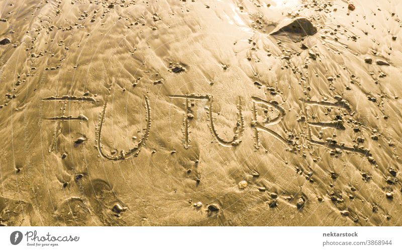 Zukunft im goldenen Sand geschrieben Wort Tag Strand schreibend schriftlich natürliche Beleuchtung im Freien sonnig Konzept Englisch keine Menschen niemand