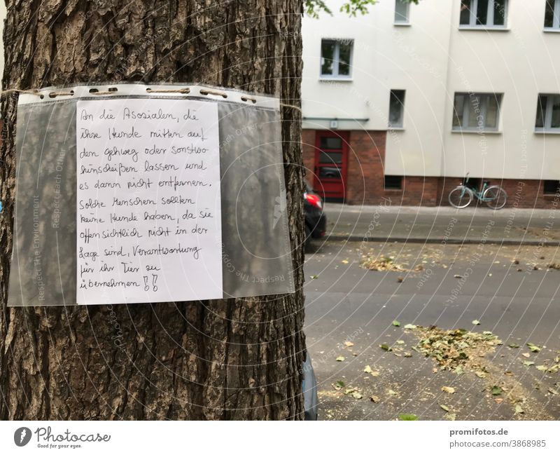 Schriftlicher Aushang an einem Baum im Berlin gegen Hundekot auf Gehwegen. Foto: Alexander Hauk flyer baum tageslicht berlin hauptstadt großstadt tiere hund