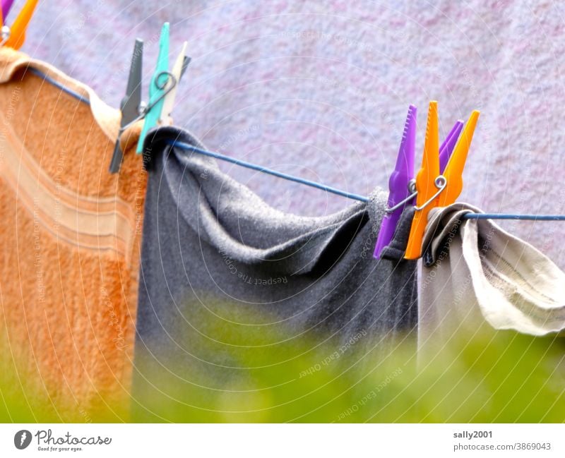 Farbkombination... an der Wäscheleine... Wäscheklammer Waschtag waschen aufhängen trocknen bunt Handtuch Handtücher Haushalt draußen Hecke Garten Seil sauber