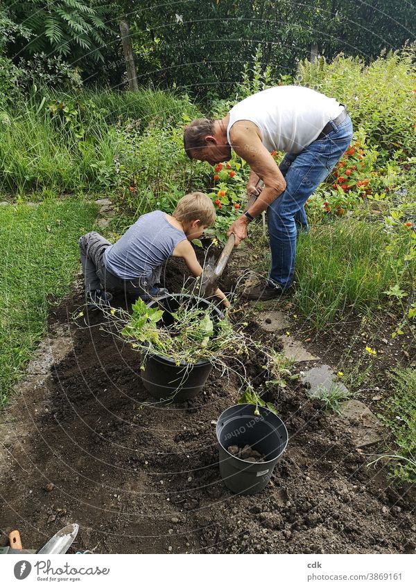 Kindheit | Kartoffelernte I Ernte Garten Beet Opa und Enkel zusammen arbeiten Gartenarbeit Kartoffeln ausgraben Werkzeug schaufeln konzentriert Spätsommer