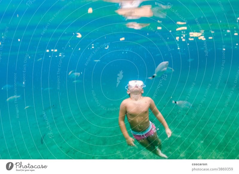 Kleinkind taucht im Mittelmeer aktiv Abenteuer-Camp Tiere aqua Baby Bahamas Transparente Badeurlaub Karibik-Tournee heiter Kind Kindheit Kindererholung niedlich