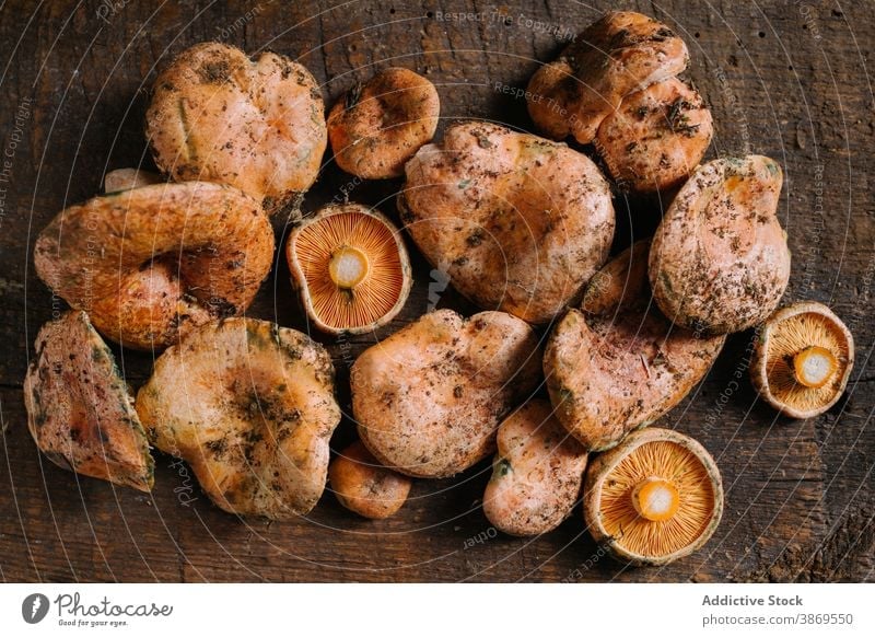 Frische Safran-Milchkappenpilze auf Holztisch Pilz Rotkiefernpilz Lactarius deliciosus Maronenröhrling wild essbar frisch roh organisch Lebensmittel natürlich