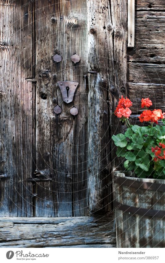 AST6 Inntal | Holzig Sinnesorgane Erholung ruhig Häusliches Leben Wohnung Pflanze Blume Hütte Gebäude Architektur Fassade Blühend Duft Freundlichkeit braun