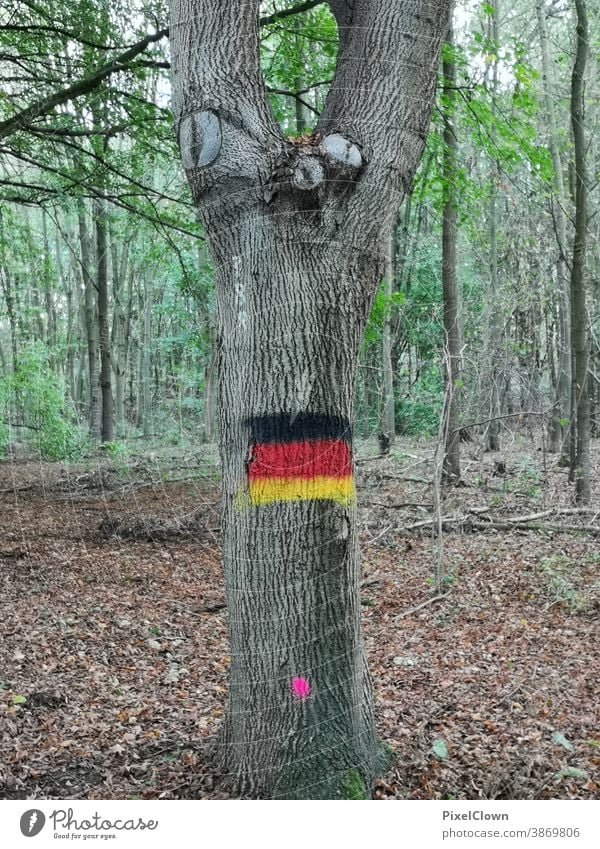 Die deutschen Nationalfarben im Wald deutschland Landschaft Baum Herbst Farbfoto Natur Deutschland Umwelt