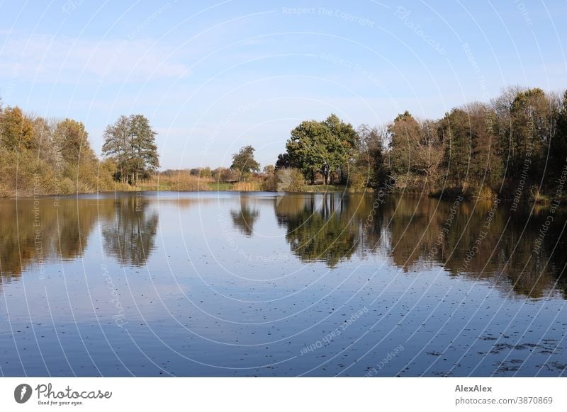 Landschaftsaufnahme eines ruhiges Sees, der mit Bäumen und Sträuchern umgeben ist und in dem sich der blauen Himmel im Herbst spiegelt Teich Stäucher Gras