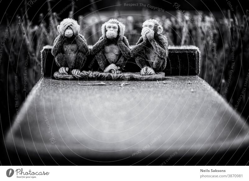 warme Fäustlinge, Biene und Gläser benötigt. drei Affen bei kaltem Winterfrost. Bildhauerei Frost Eis Granit drei weise Affen drei gefrorene Affen abstrakt