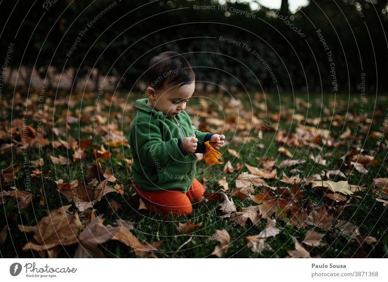 Kleinkind spielt auf Spielplatz mit Herbstlaub 0-09 Jahre Lifestyle anhänglich authentisch fürsorglich lässig Kaukasier Kind Farbe Neugier Tag Genuss Umwelt