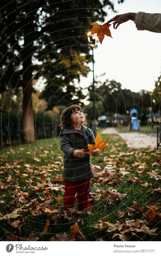 Mit Herbstblättern spielendes Kind 0-09 Jahre Lifestyle anhänglich authentisch fürsorglich lässig Kaukasier Farbe Neugier krause Haare Tochter Tag Genuss Umwelt