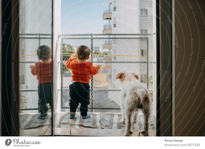 Kleinkind und Hund auf dem Balkon Balkone Haustier Zusammensein Zusammengehörigkeitsgefühl Liebe Kaukasier Freundschaft jung Lifestyle Freizeitkleidung