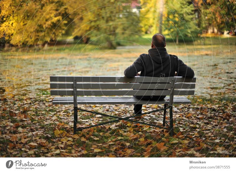 Erholung allein draußen park einsam ruhe genießen herbst see blätter herbstlaub Natur Park Einsamkeit Ruhe herbstlich Wald Herbst Herbstfärbung mann Bank
