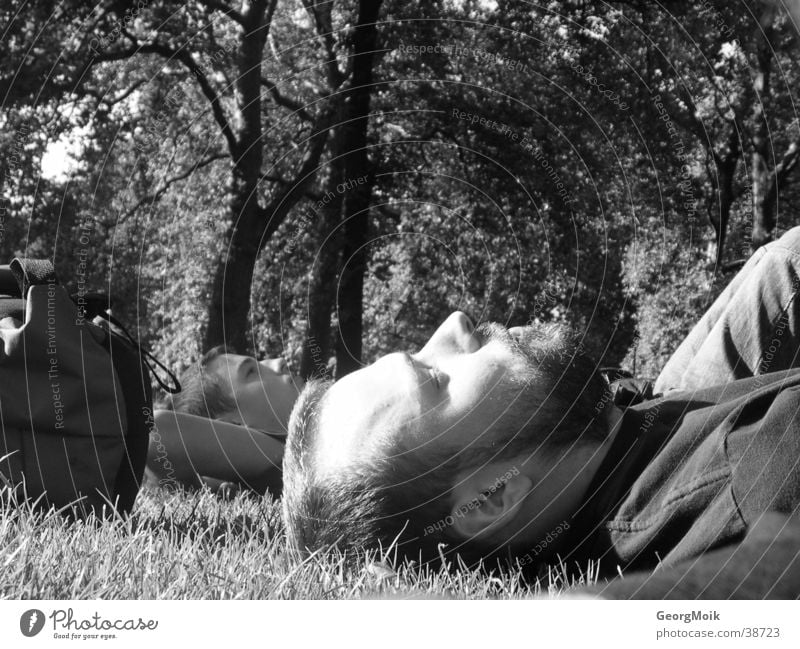 Londoner Parknickerchen Baum schlafen Wiese Mann zwei Männer