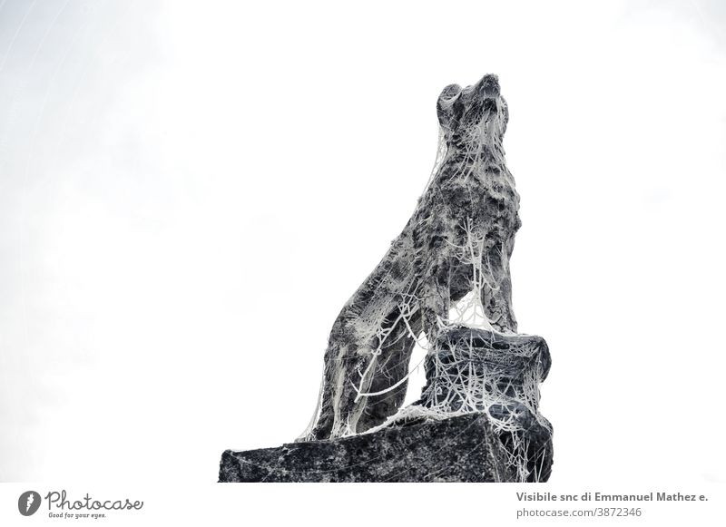 Hundestatue mit Frostfäden bedeckt Jäger böhmen gealtert Stein Rückbesinnung Statue Nizza Tradition Christentum Dekoration & Verzierung Religion Gedenkstätte