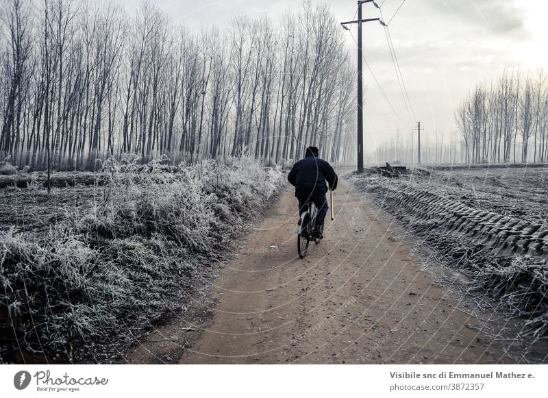 mann auf dem fahrrad entlang einer straße in der poebene im winter flach Feld Winter lomellina Italien padana Poebene pavia Nebel Baum Landschaft ländlich Natur