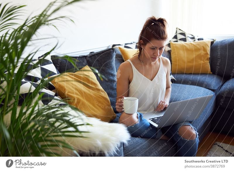 Junge Frau arbeitet am Laptop auf dem Sofa. Kaukasier jung arbeiten heimwärts 20s brünett Computer Arbeit von zu Hause aus Person schreibend im Innenbereich