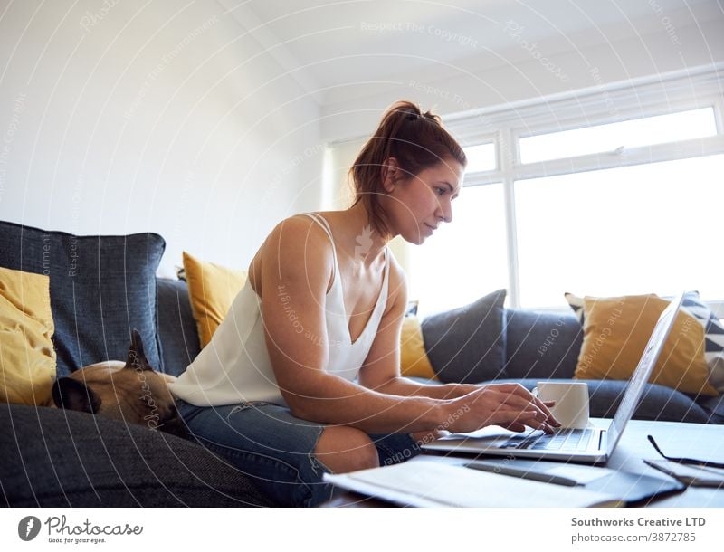 Kaffeetrinken Glück jung Frau arbeiten heimwärts Laptop Sofa 20s brünett Computer Arbeit von zu Hause aus Person schreibend im Innenbereich Schüler studierend