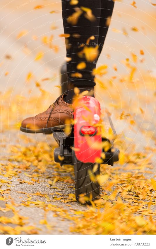 Detail eines modischen Hipster-Mädchens, das im Herbst auf einem Elektroroller im Park fährt Blätter Tretroller E-Roller farbenfroh Straße Mitfahrgelegenheit