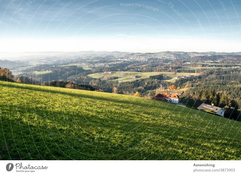 Blick auf das Mühlviertel Landschaft Aussicht Weite grün Gras Panorama Landwirtaft Hügel Hügelland Wiese Rasen Himmel Horizont Natur Umwelt Wald weit Österreich