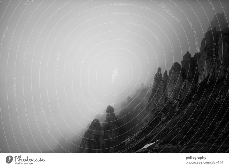 Überraschung in der Nebelwand Natur Landschaft Erde Himmel Wolken Sommer schlechtes Wetter Hügel Felsen Alpen Berge u. Gebirge Gipfel Surrealismus träumen
