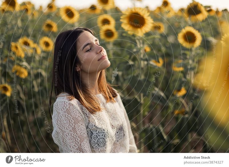 Anmutige Frau im Sonnenblumenfeld Feld genießen Natur Blume sorgenfrei ruhig Sommer Wiese Blütezeit sich[Akk] entspannen Windstille Augen geschlossen friedlich