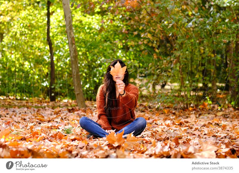 Frau mit Ahornblatt im Herbst Park Laubwerk Blatt Wald Tierhaut zeigen fallen Baum jung Natur Saison ruhen Lifestyle schön farbenfroh Kälte Deckung positiv hell