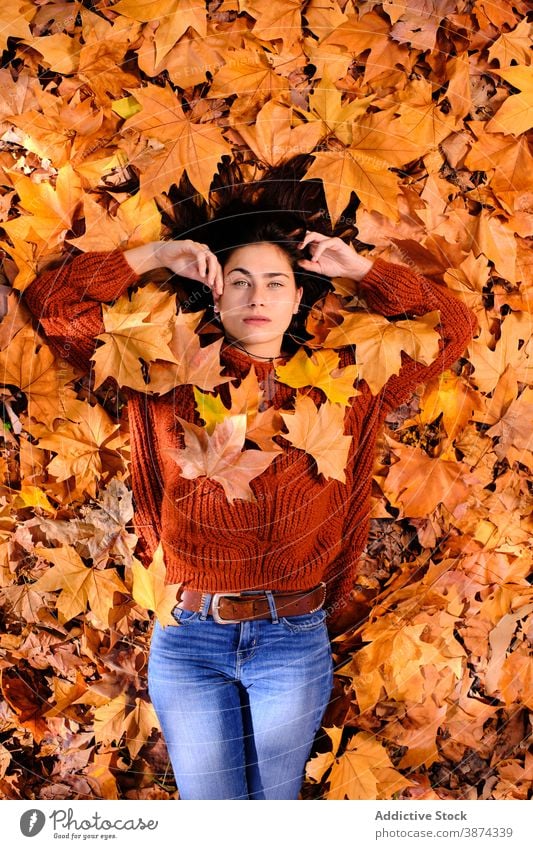 Junge Frau liegt auf Herbst Blätter im Park Laubwerk Blatt Ahorn Kälte sich[Akk] entspannen Farbe fallen Lügen Windstille sinnlich träumen friedlich ruhig