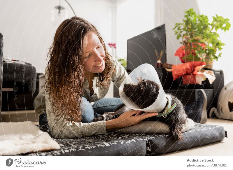 Fröhliche Frau mit Hund in Haustierkegel zu Hause elisabethanisches Halsband Besitzer Zapfen Schandkegel Zusammensein Tier Freund Kragen Lügen Bett Stock