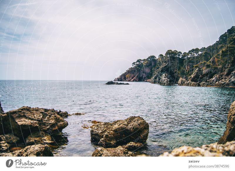 Eine abrupte Felsklippe voller Bäume im Mittelmeer Costa Brava calella de palafrugell Palamos Landschaft MEER Wasser mediterran Katalonien Ansichten