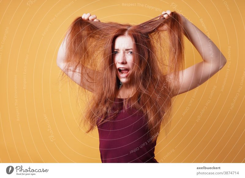 zum Haare raufen - frustrierte junge Frau Verzweiflung Haarpflege Wutausbruch bad hair day Tag der schlechten Haare Frustration schreien Emotion zerzaust lustig