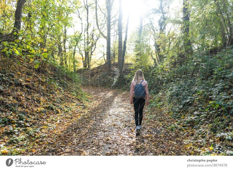 Junge Frau spaziert durch herbstlichen Wald Spaziergang Herbst Natur Baum Landschaft Wege & Pfade wandern gehen Erholung Einsamkeit Außenaufnahme Mensch