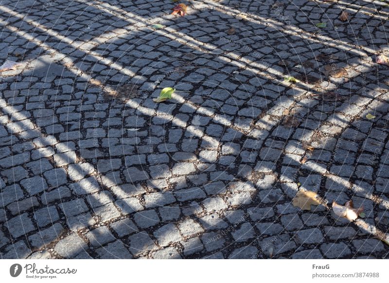 Lichtspiel auf dem Pflaster Pflastersteine Granit Bodenbelag Straßenbelag grau Wege & Pfade Strukturen & Formen Linien Rechtecke Muster Blätter Menschenleer