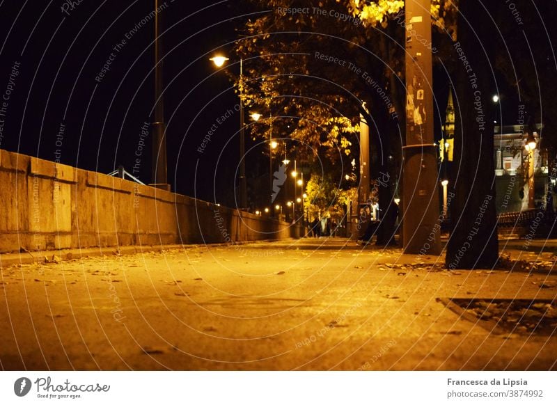 Uferpromenade in Budapest ufer Promenade Nacht Laternen Froschperspektive Wege & Pfade Licht Straße dunkel Langzeitbelichtung Lampe Straßenbeleuchtung