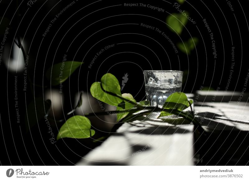 ein Glas Wasser auf einem weißen Tisch mit Sonnenstrahlen und grünen Blättern Sommer Morgen Mineral übersichtlich Strahlen Filter Hintergrund Natur frisch