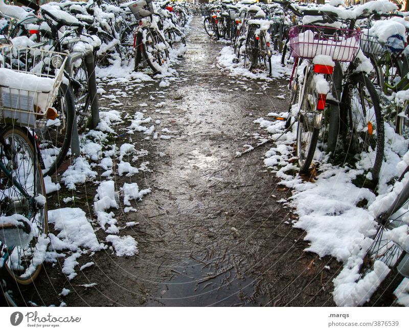 Verschneiter Fahrradparkplatz viele Schnee Winter parken kalt schneebedeckt Stadt Mobilität Wege & Pfade