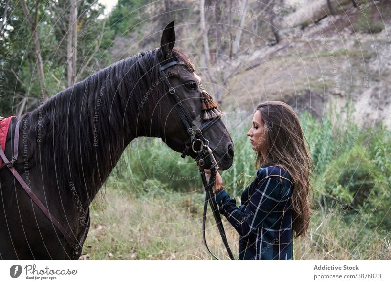 Frau mit Pferd im Wald Streicheln Reiterin Zusammensein Freundschaft Kraulen Tier Jockey Kastanie Maul pferdeähnlich ruhig Natur stehen friedlich züchten Wälder
