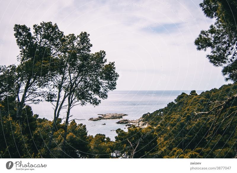 Landschaft mit Blick auf das Meer und etwas Vegetation Costa Brava calella de palafrugell Palamos Ansichten MEER Wasser Steine mediterran Katalonien Natur