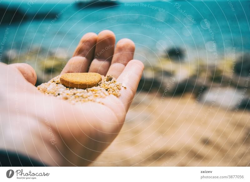 Nahaufnahme einer Hand, die einen braunen Kieselstein und etwas Sand hochhält Kieselsteine Holzschindel menschlich Beteiligung berühren Gefühl erkunden