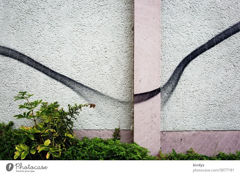 Grafitti an einer Hauswand, geschwungene Linine Straßenkunst Linie grafisch Grünpflanze