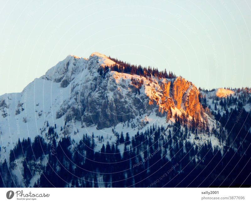 letzte Sonnenstrahlen des Tages... Kampenwand Chiemgau Chiemgauer Alpen Oberbayern Bayern Berge u. Gebirge Winter Schnee Sonnenuntergang Alpenglühen Gipfel