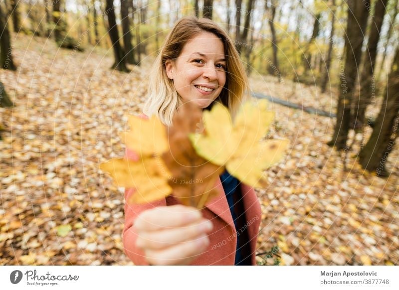 Junge Frau hält gelbes Herbstlaub im Wald 30s Erwachsener schön Schönheit blond Kaukasier heiter Farbe niedlich genießen fallen Laubwerk frisch Spaß Mädchen