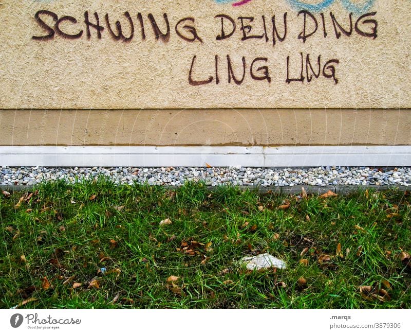 Abt. komische Sprüche Graffiti streetart Wand Mauer Schriftzeichen Schmiererei Schwing dein Ding Ling Ling