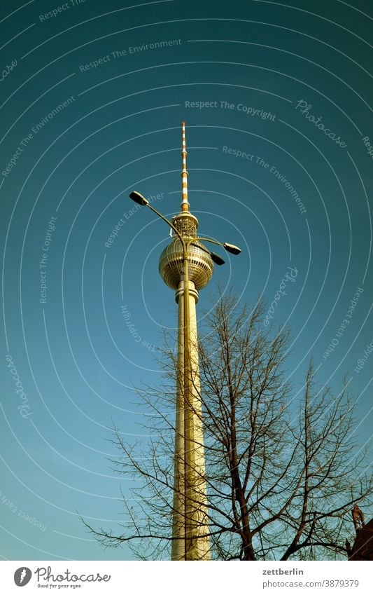 Fernsehturm hinter einer Laterne alex alexanderplatz architektur berlin büro city deutschland fernsehturm froschperspektive hauptstadt haus himmel hochhaus