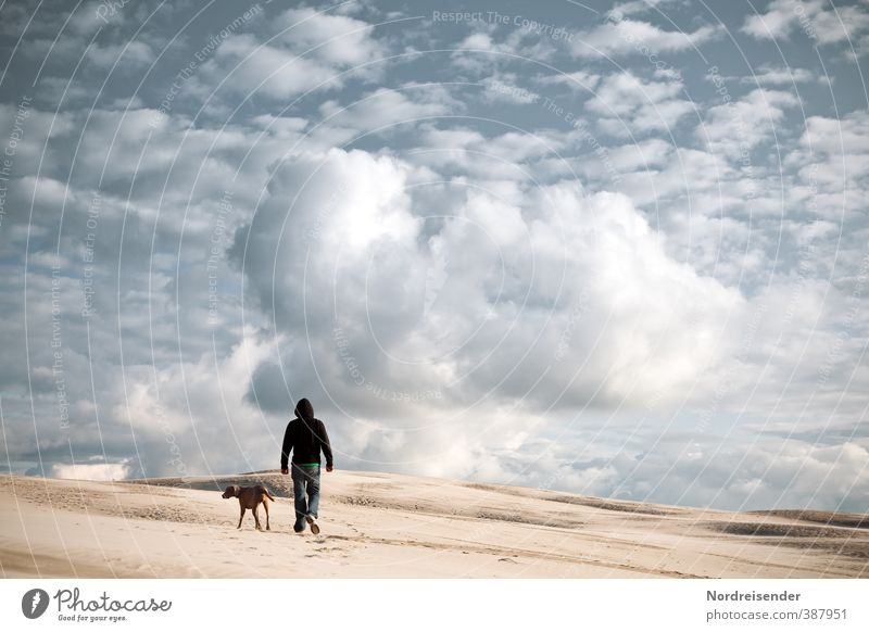 Wege gehen.... Abenteuer Ferne Freiheit wandern Mensch 1 Landschaft Urelemente Sand Luft Himmel Wolken Klimawandel Wüste Wege & Pfade Hund laufen Erfolg