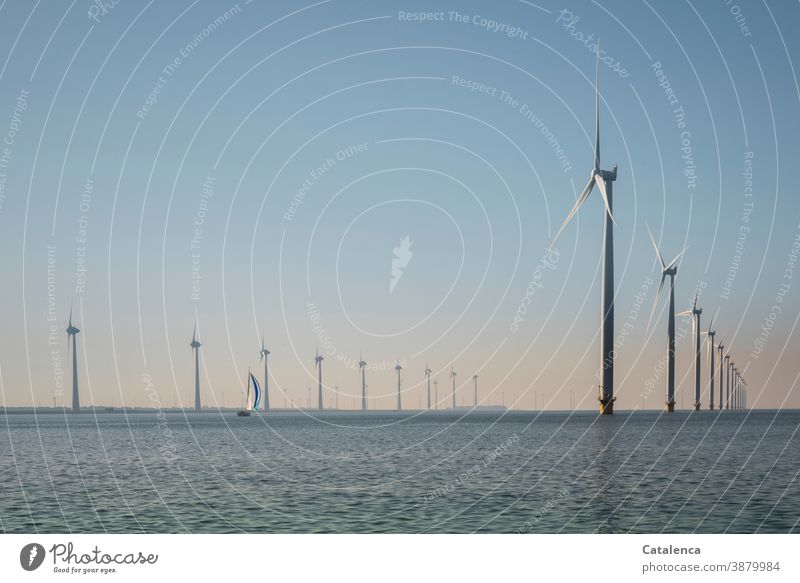 Offshore-Windpark im IJsselmeer mit Segelboot Meer Wasser Windräder Landschaft Horizont Segelyacht Himmel Tag Tageslicht schönes Wetter blau rosa