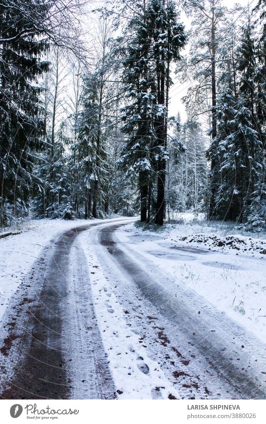 Verschneite Strasse im Winterwald. Wunderschöne frostig weisse Landschaft. verschneite Straße Saison Wald Eis Szene Weihnachten Baum Tag PKW frieren im Freien