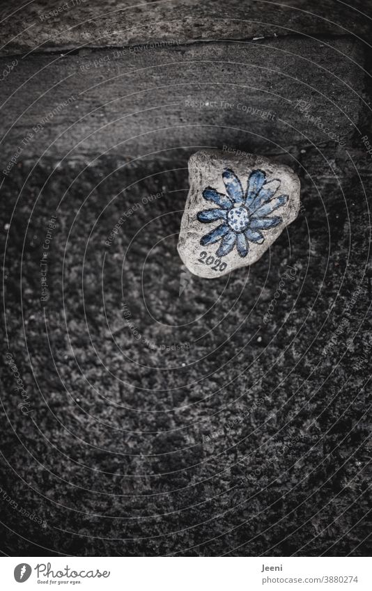 Stein auf der Straße | bemalt mit einer blauen Blume | beschriftet mit der Zahl 2020 angemalt Kunst Erinnerung Schrift Kreativität Jahreszahl Corona Blaue Blume