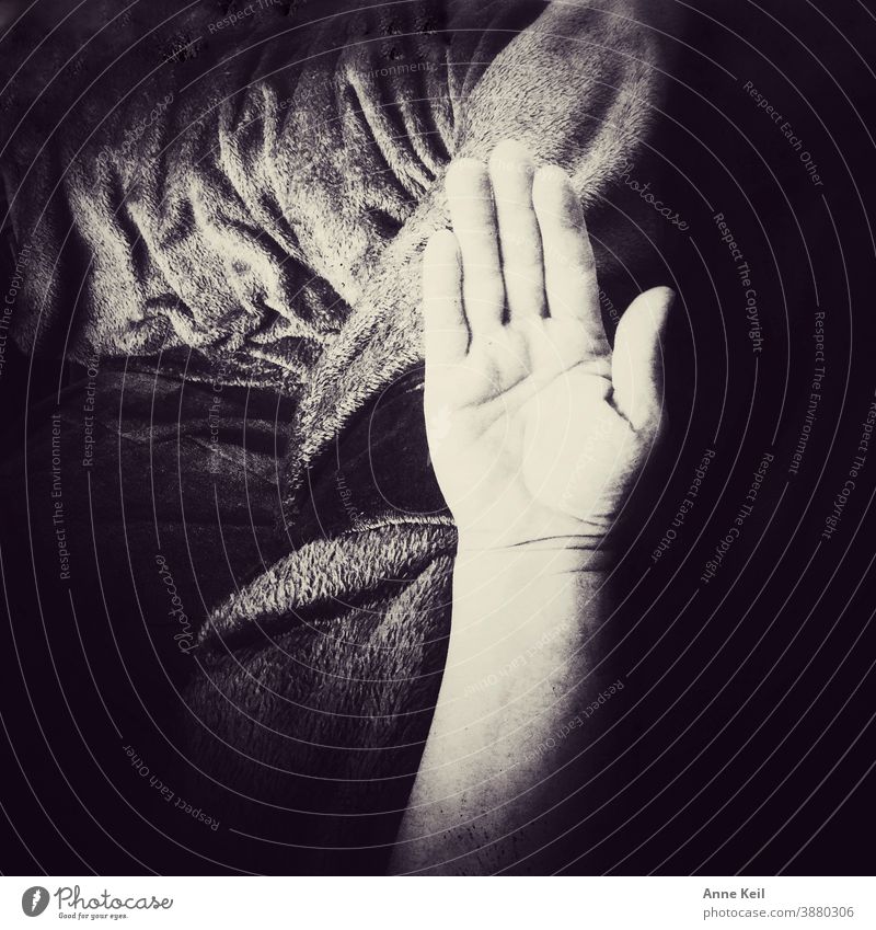 Hand und Arm auf einer Decke und schwarz weiss Mensch Innenaufnahme Schwarzweißfoto Licht Schatten Kontrast