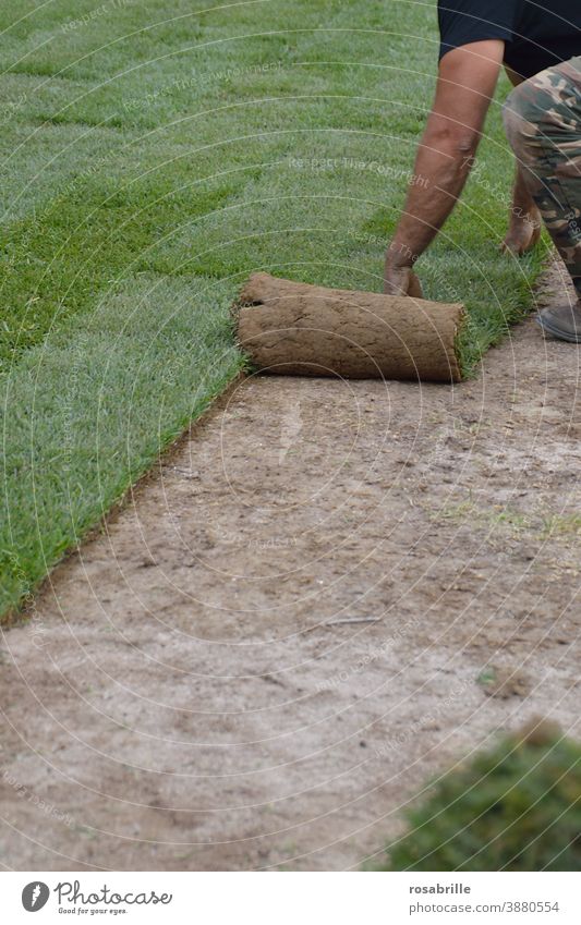 Rollrasen verlegen | Trash 2020 Grünfläche Arbeit Arbeitsalltag arbeiten rollen ausrollen Rasen Rasenfläche Gras Grundstück anpflanzen schnell Mann Gärtner