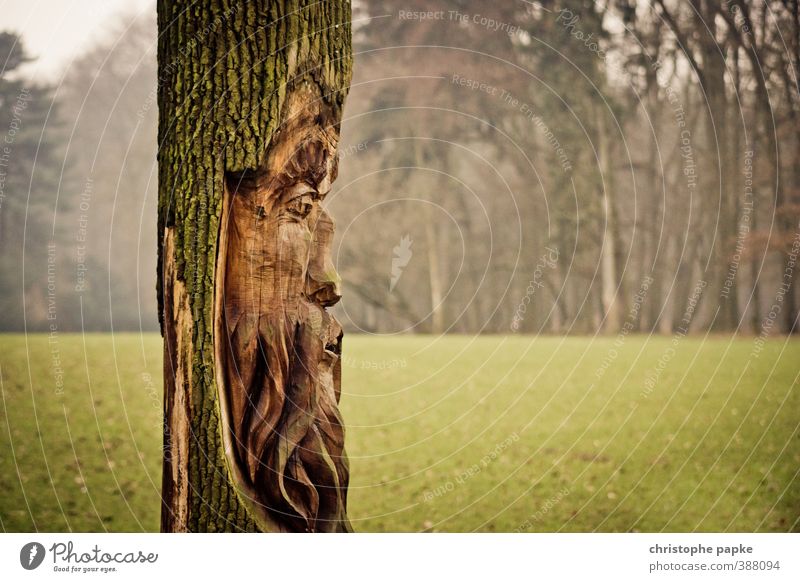 Waldgott Landwirtschaft Forstwirtschaft Gesicht Kunst Kunstwerk Skulptur Umwelt Natur Baum Wiese Holz beobachten Religion & Glaube Kraft Stolz Umweltschutz