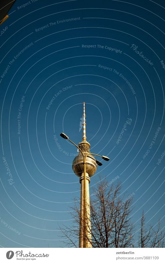 Fernsehturm hinter Straßenlaterne alex alexanderplatz architektur berlin büro city deutschland fernsehturm froschperspektive hauptstadt haus himmel hochhaus